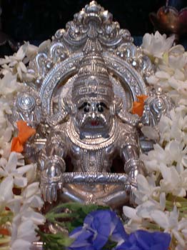 Vira Narasingha