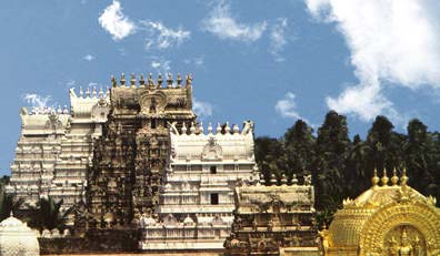 Sri Rangam Gopurams